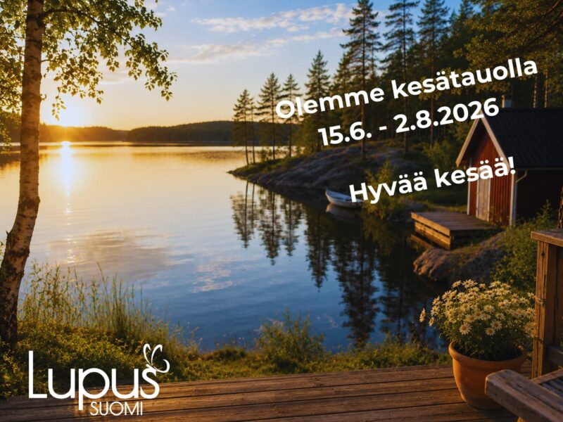 Kesä tauko 2026